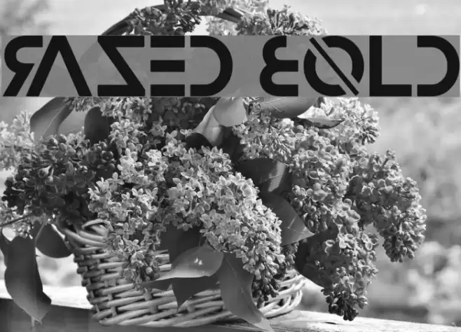 Razed Bold Font examples