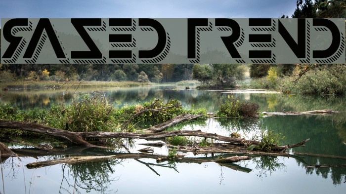 Razed Trend Font examples