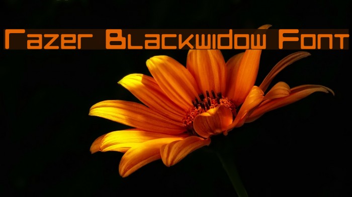 Razer Blackwidow Font Example 2