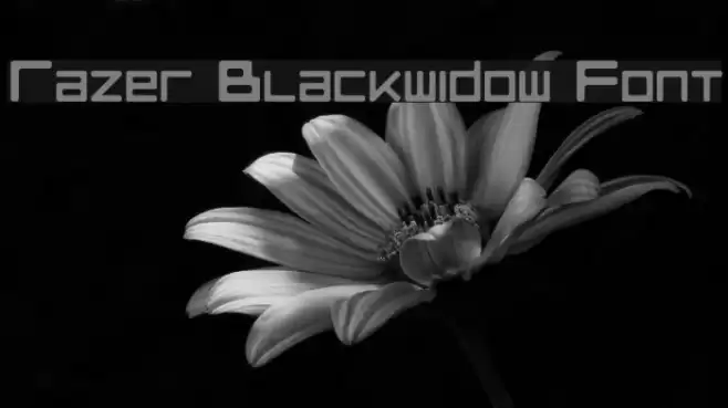 Razer Blackwidow Font Font examples