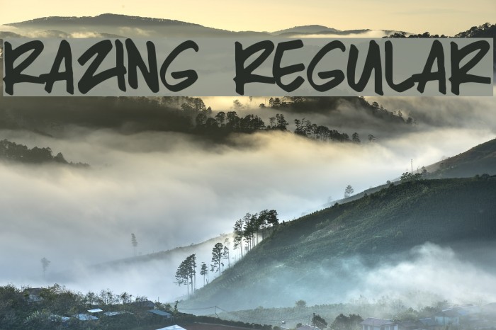 Razing Regular Font examples