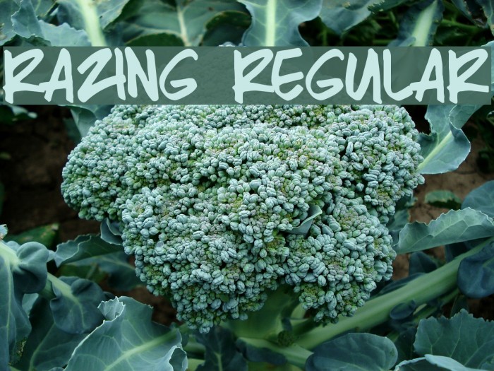 Razing Regular Font examples
