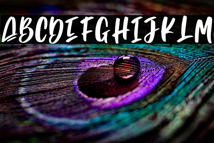 Razor Bland Personal Use Example 2