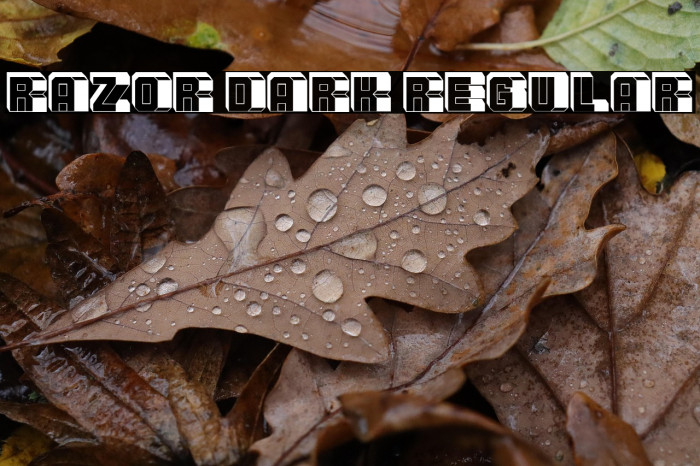 Razor Dark Regular Example 2