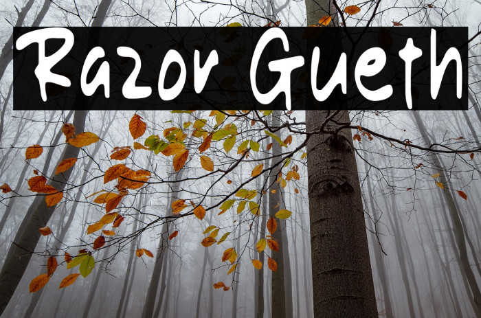 Razor Gueth Example 2