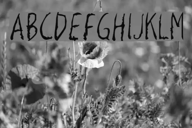 Razor Keen Fuentes examples