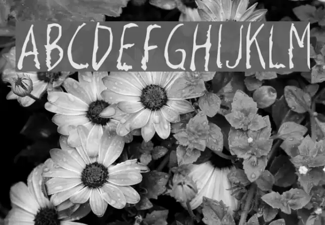 Razor Keen Fuentes examples