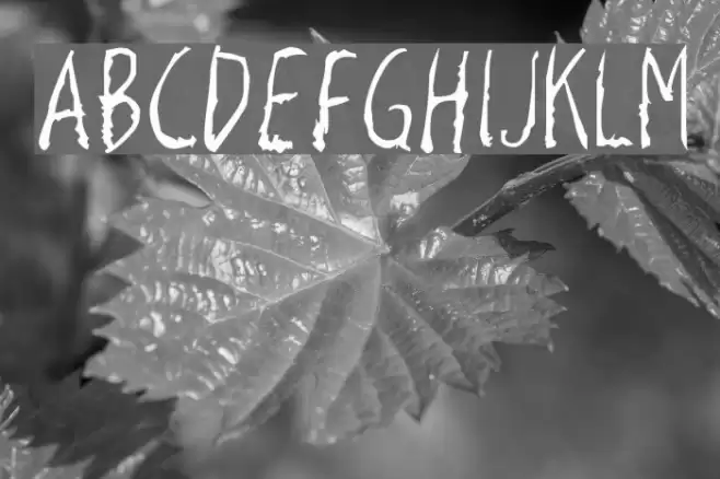 Razor Keen Fuentes examples