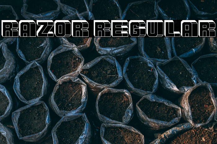 Razor Regular Example 3