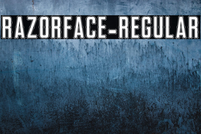 RazorFace-Regular Example 2