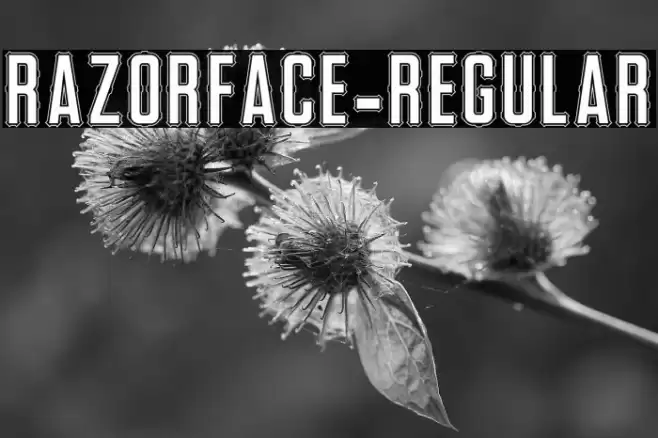 RazorFace-Regular Font examples