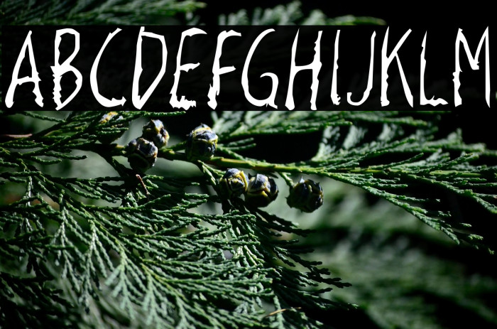 RazorKeen-Regular Example 1