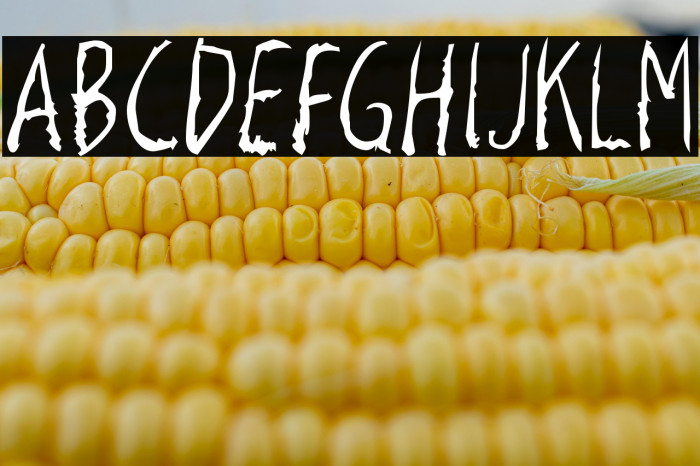 RazorKeen-Regular Example 2