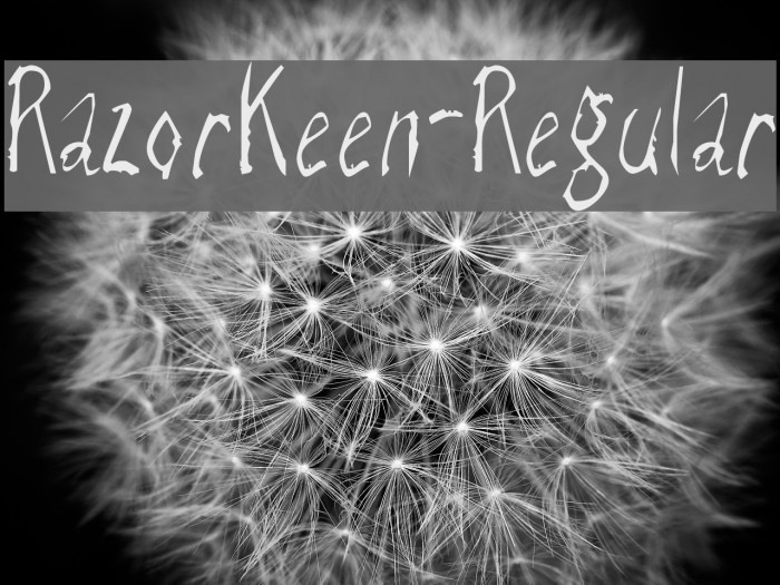 RazorKeen-Regular Font examples