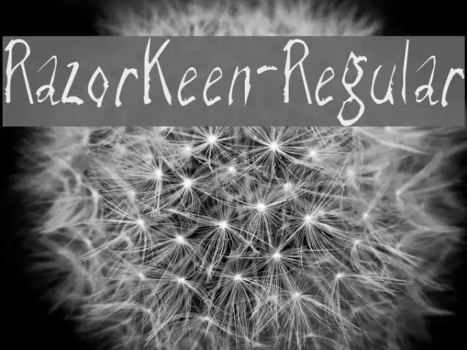 RazorKeen-Regular Font examples