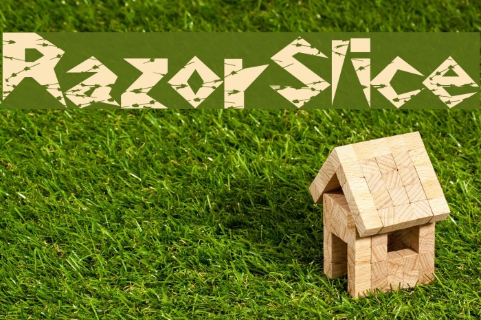 RazorSlice Font examples