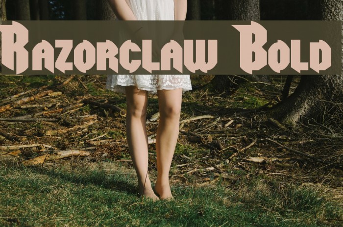 Razorclaw Bold Font examples