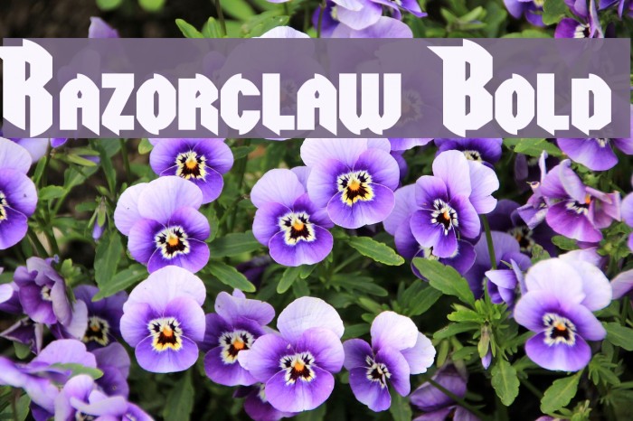 Razorclaw Bold Font examples