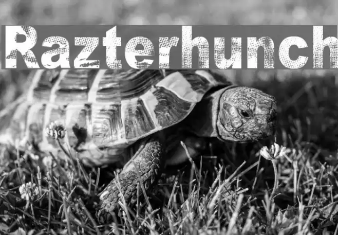 Razterhunch Font examples