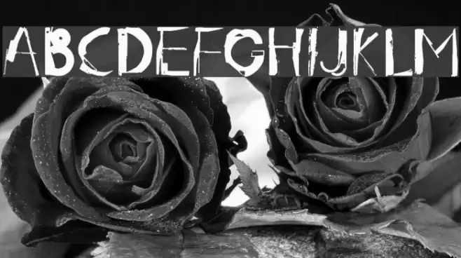 radar.one Font examples