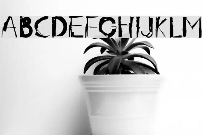 radar.one Font examples