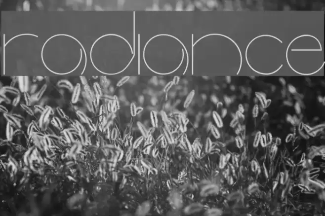radiance Font examples