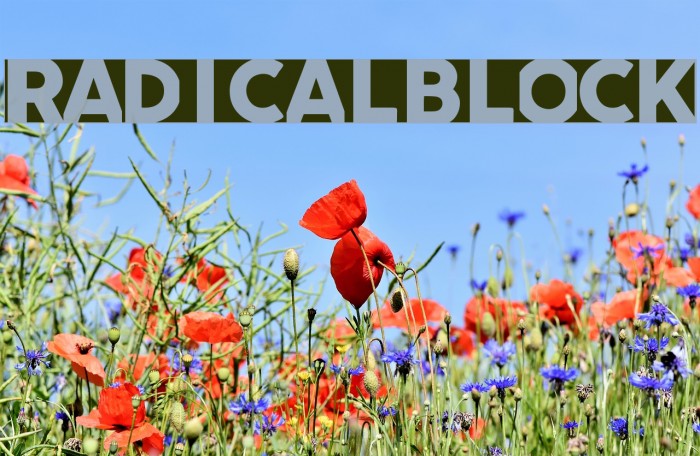 radicalblock फ़ॉन्ट examples