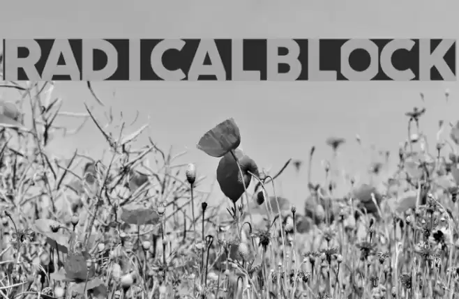 radicalblock Font examples