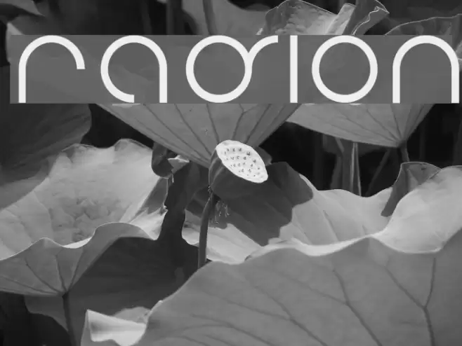 radion Font examples