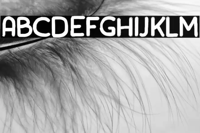 rainday Font examples