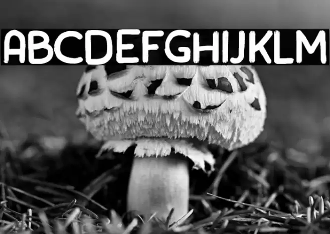 rainday Font examples