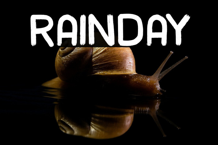 rainday Example 3