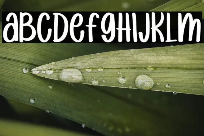 raindrops Example 3