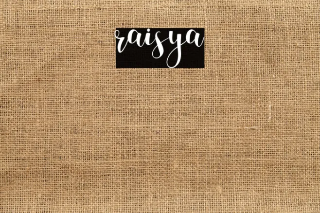 raisya Example 1
