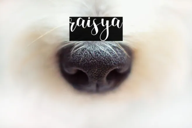 raisya Example 2
