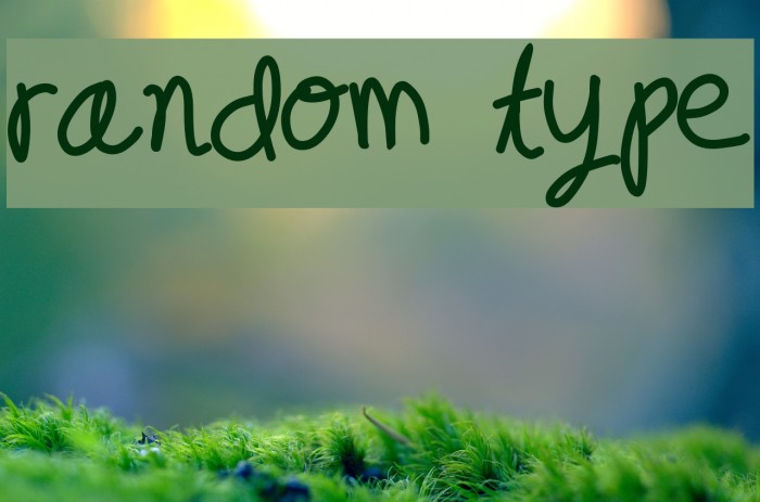 random type Font examples