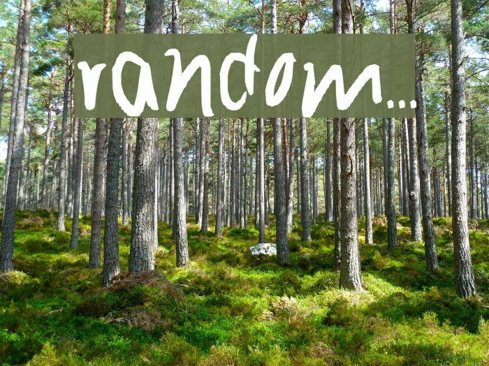 random... Font examples