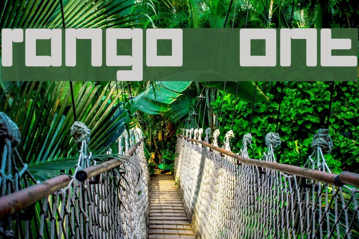 rango Font examples
