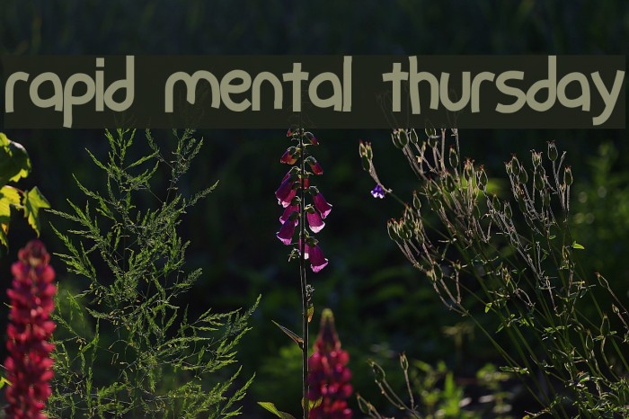 rapid mental thursday फ़ॉन्ट examples