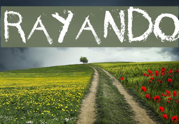 rayando Font examples