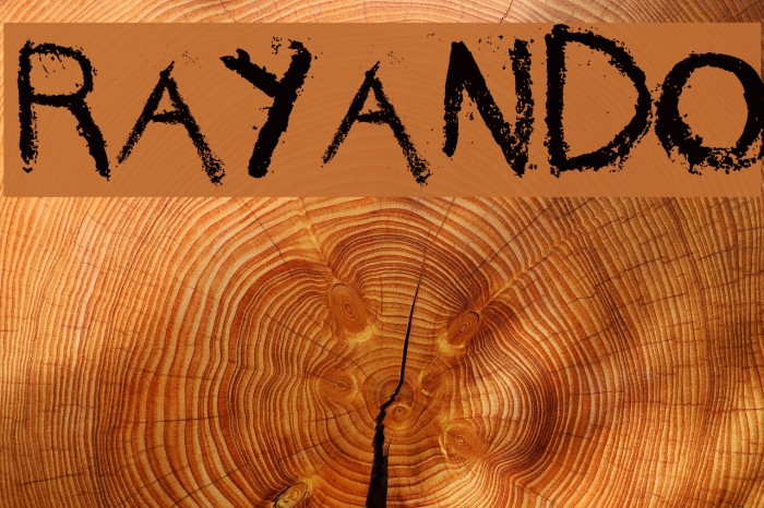 rayando Font examples