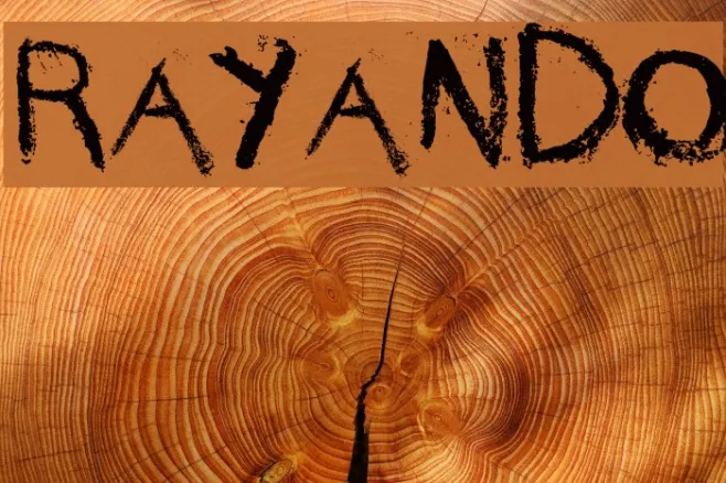 rayando Example 3