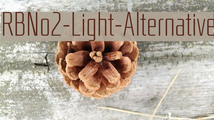 RBNo2-Light-Alternative Font examples