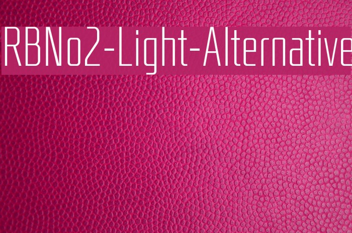 RBNo2-Light-Alternative Font examples