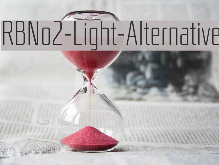 RBNo2-Light-Alternative Font examples