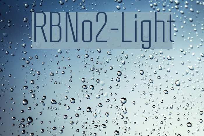 RBNo2-Light Font examples