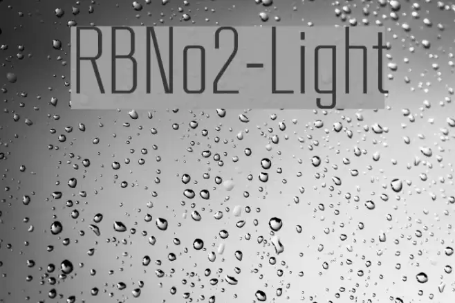 RBNo2-Light Шрифта examples