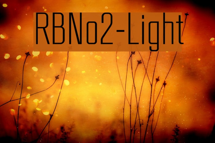 RBNo2-Light Font examples