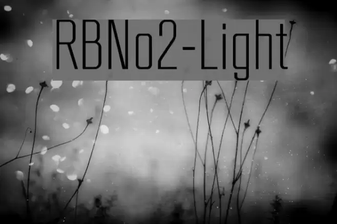 RBNo2-Light Шрифта examples
