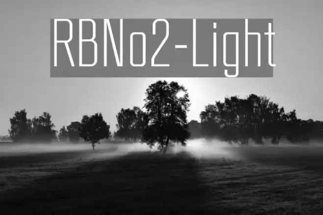 RBNo2-Light Шрифта examples